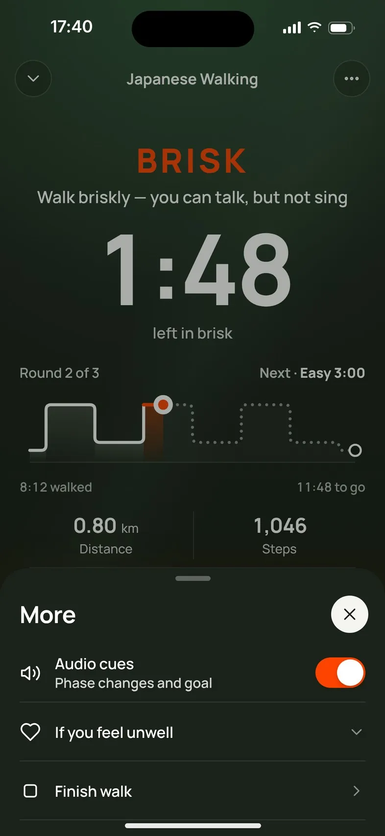 The More sheet during a walk, with the Audio cues switch, If you feel unwell and Finish walk.